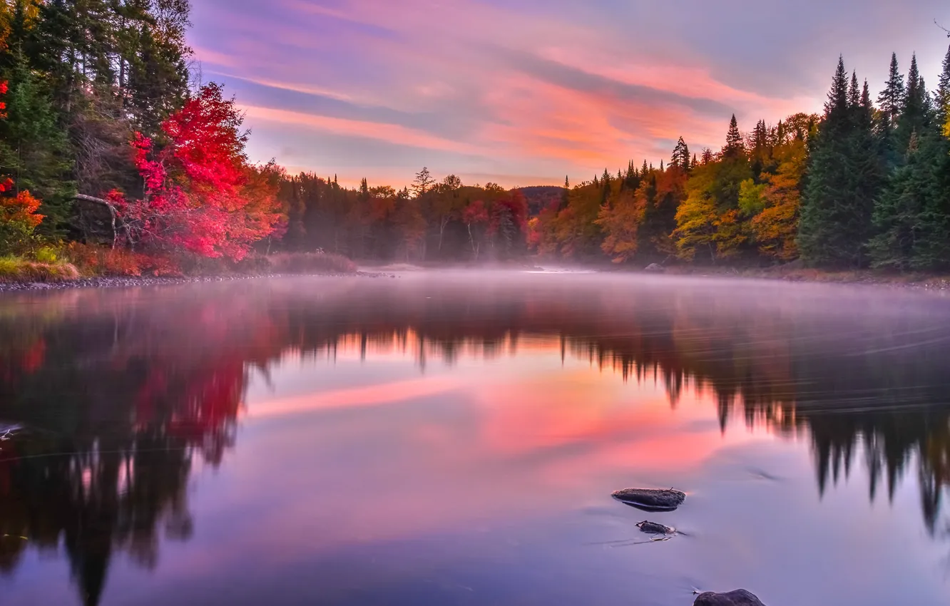 Photo wallpaper autumn, trees, fog, lake