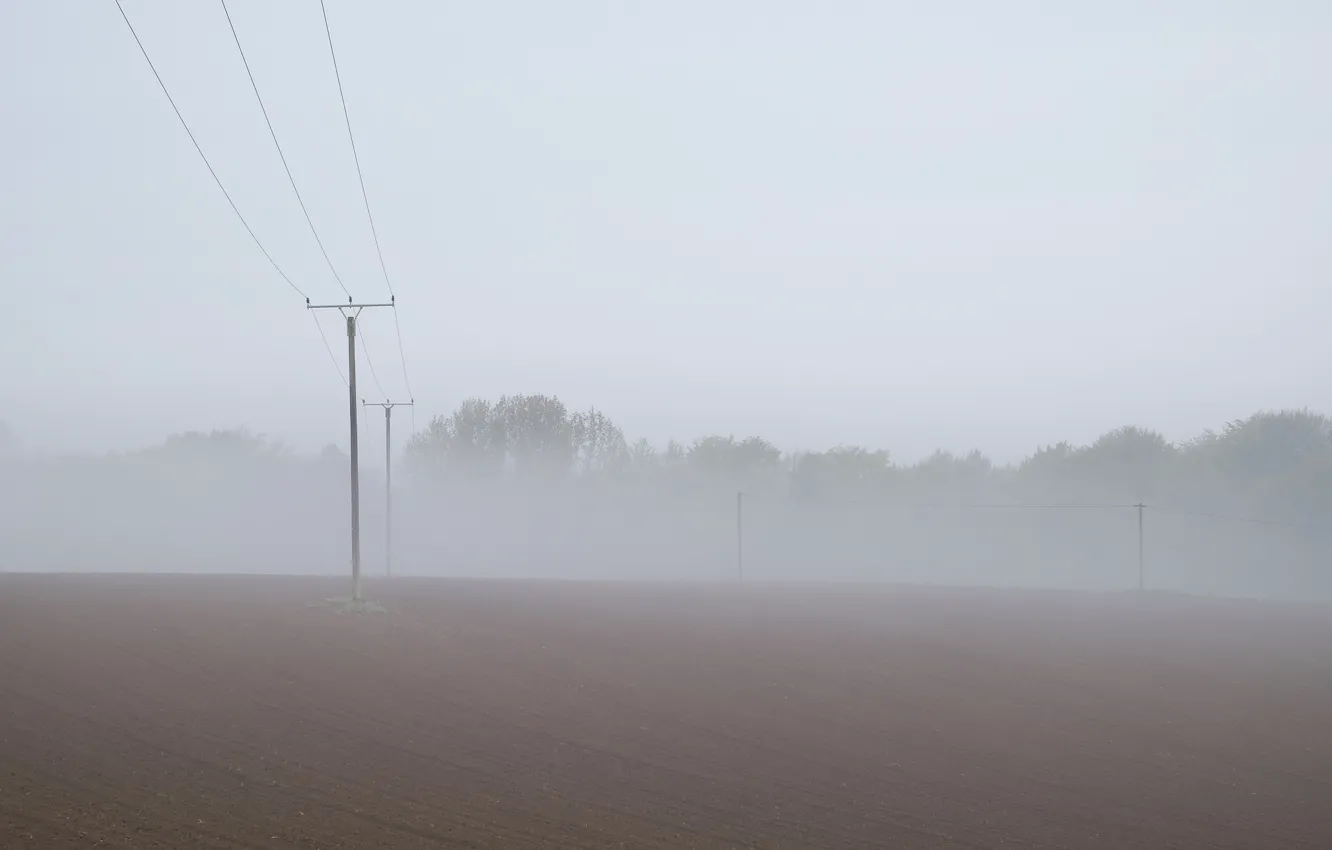 Photo wallpaper field, fog, power lines