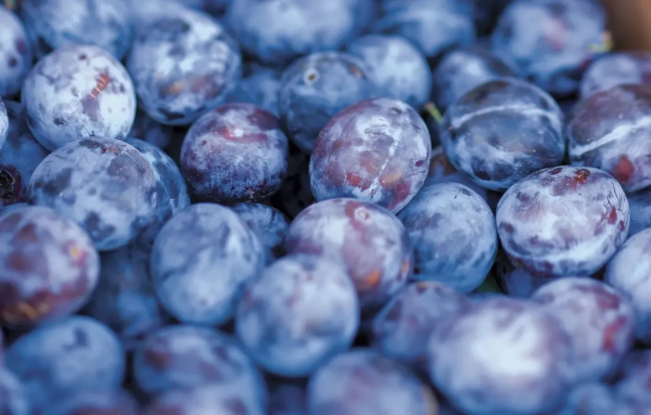 Photo wallpaper berries, a lot, blue background, drain