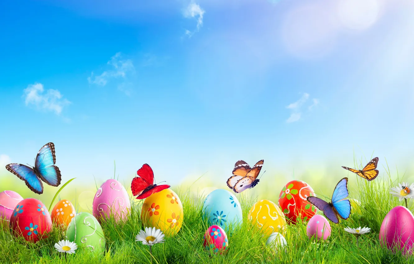 Photo wallpaper flowers, eggs, spring, colorful, Easter, flowers, spring, Easter