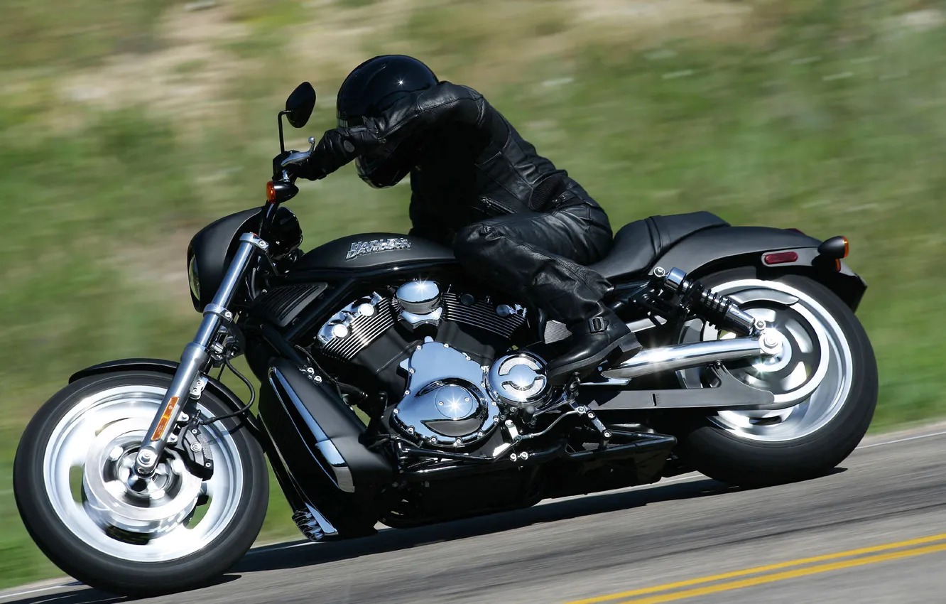 Photo wallpaper Matt, Harley, Harley Davidson, CHOPPER