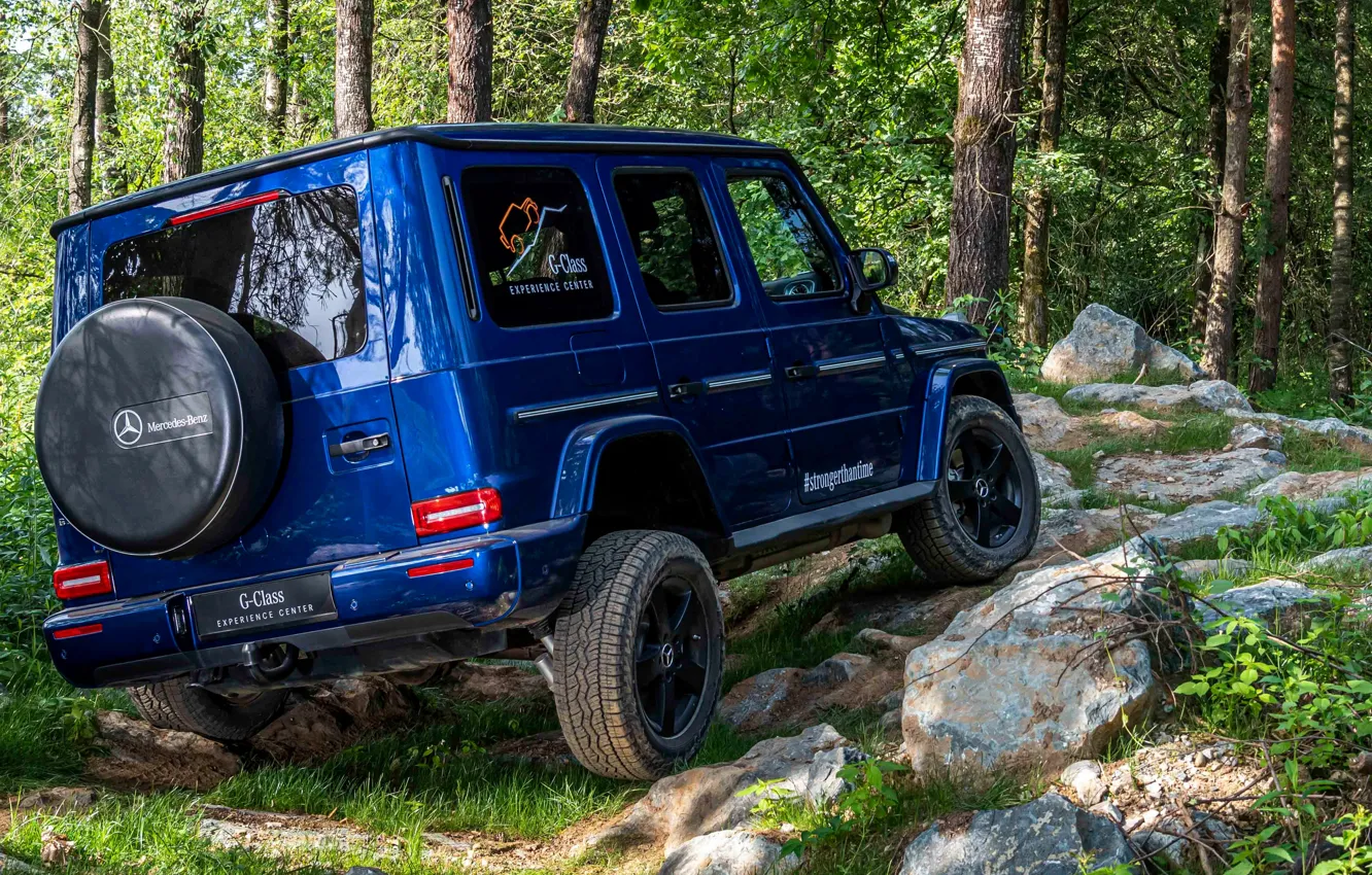 Photo wallpaper forest, blue, Mercedes-Benz, SUV, 4x4, G-Class, 2019