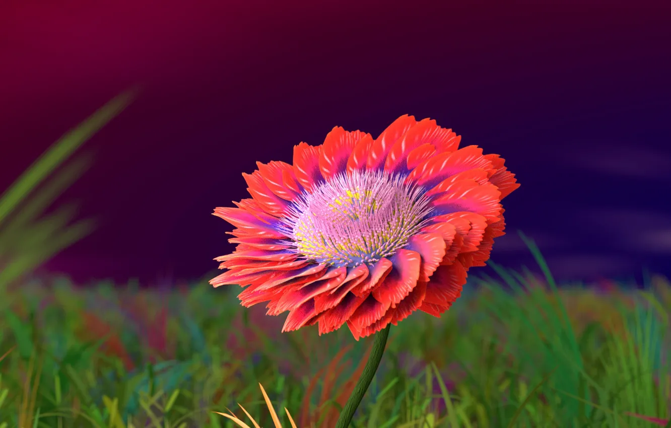 Photo wallpaper flower, background, petals