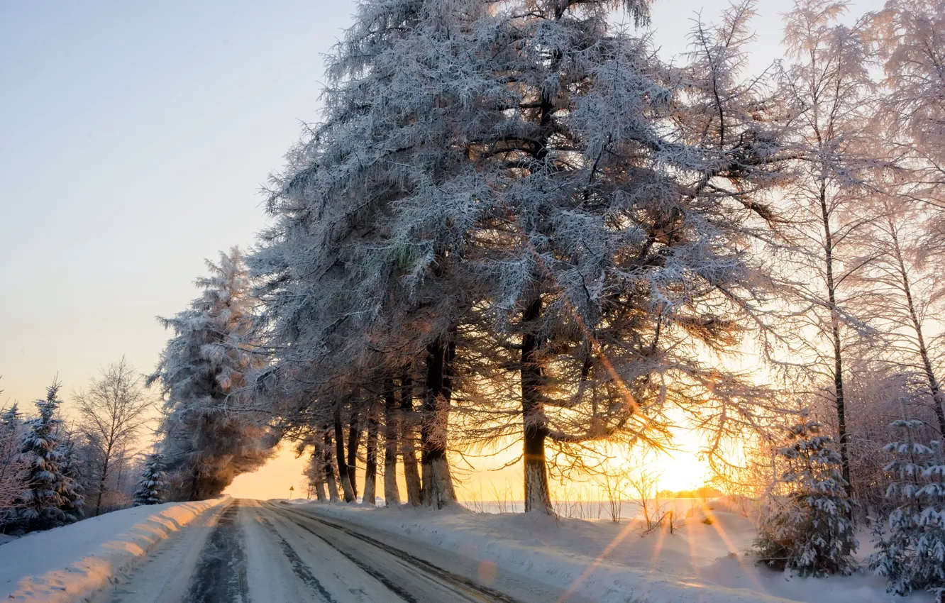 Photo wallpaper winter, road, snow, morning