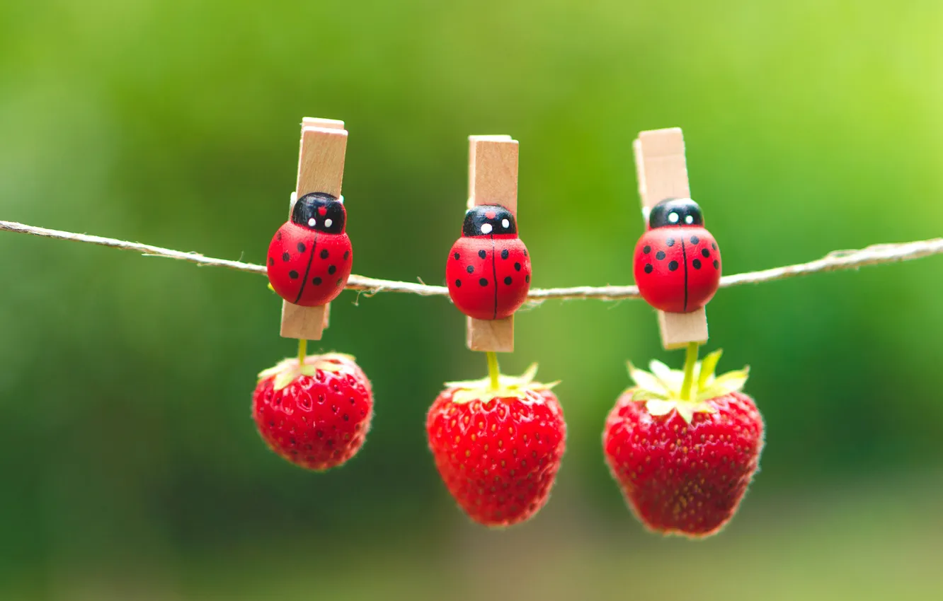 Photo wallpaper greens, summer, red, berries, strawberry, clothespins, ladybugs