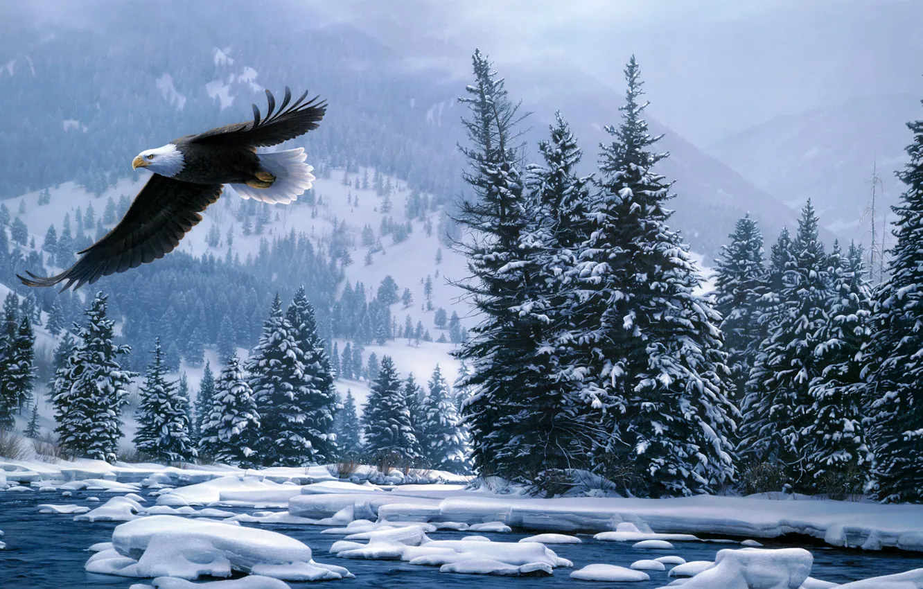 Photo wallpaper winter, forest, snow, flight, bald eagle, Daniel Smith