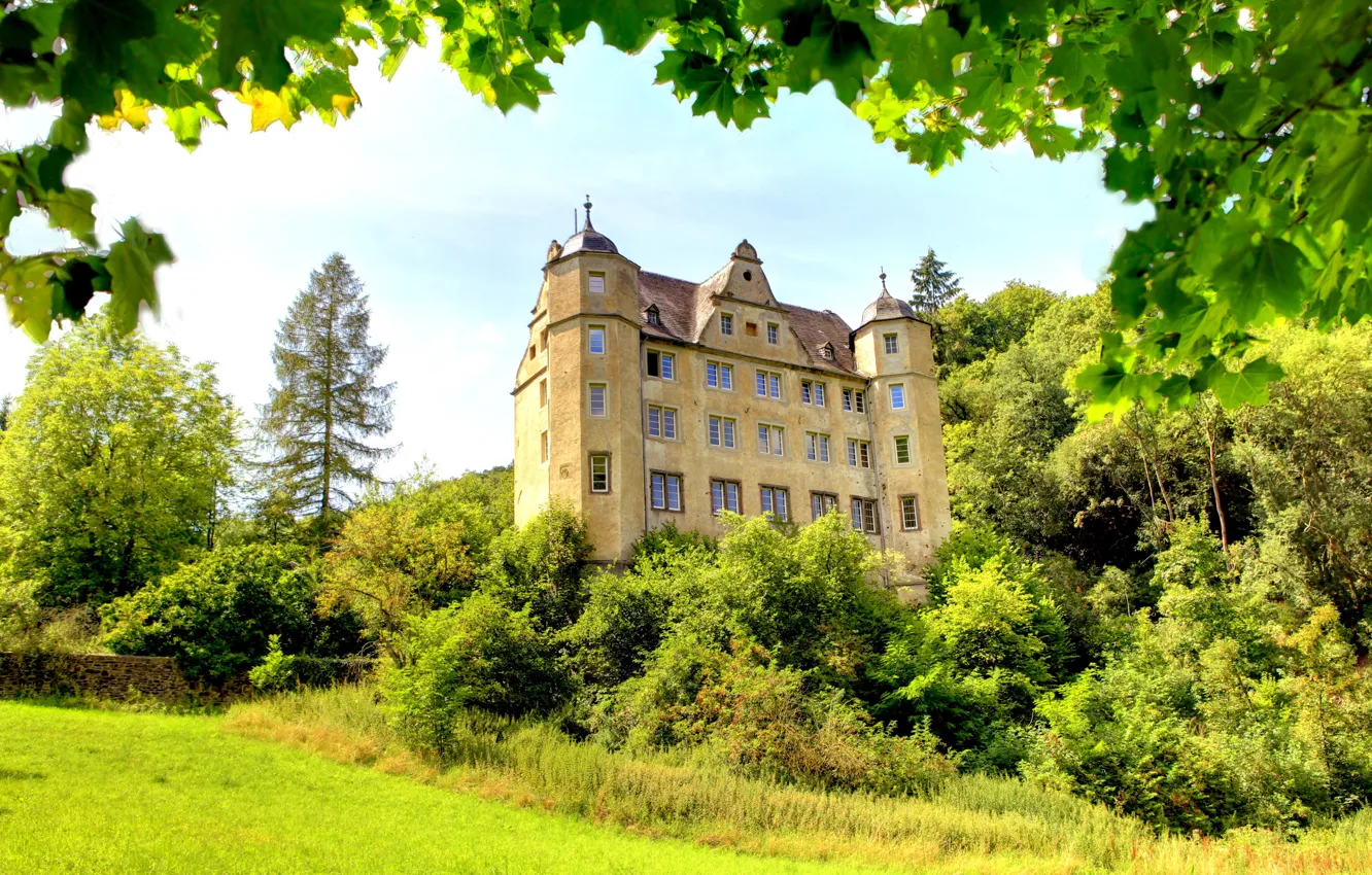 Photo wallpaper greens, grass, trees, branches, castle, foliage, Germany, the bushes