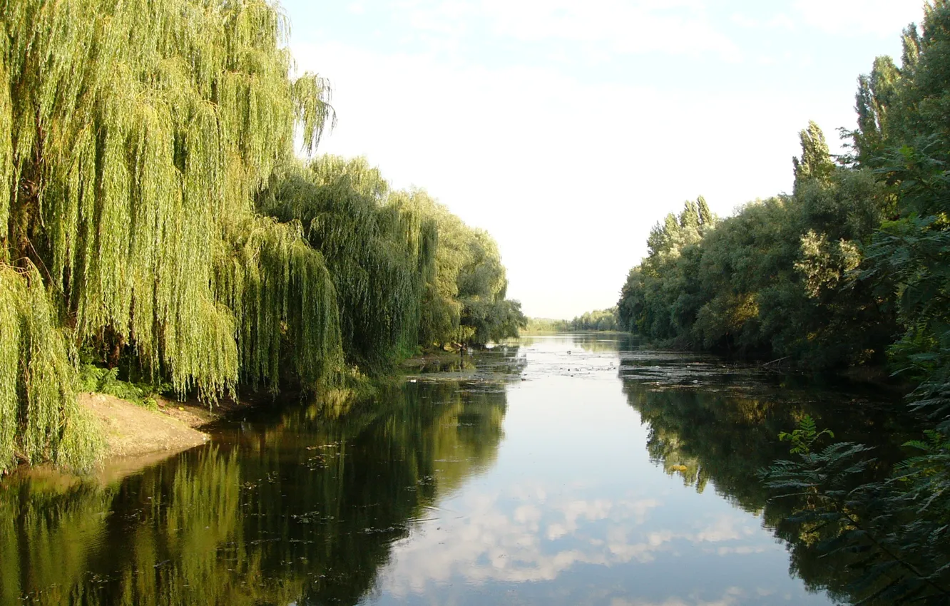 Photo wallpaper river, IVA, Kuban