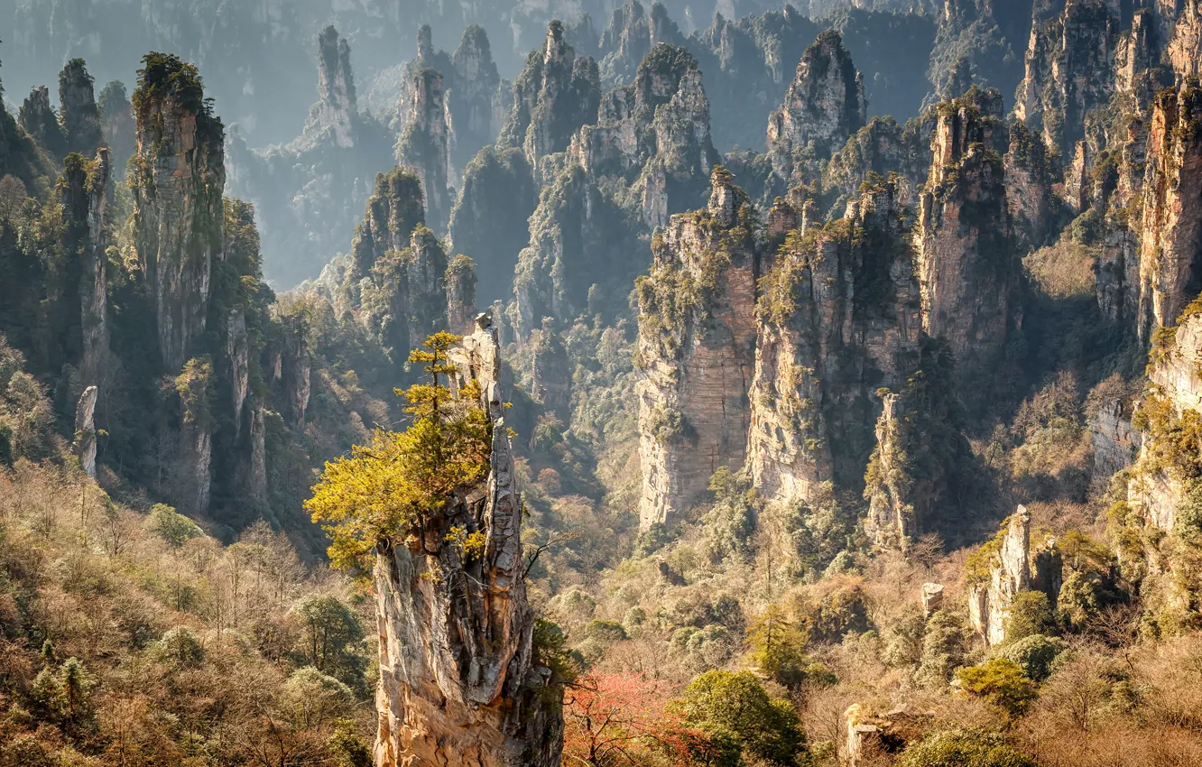 Photo wallpaper forest, the sun, trees, mountains, stones, rocks, China, the view from the top