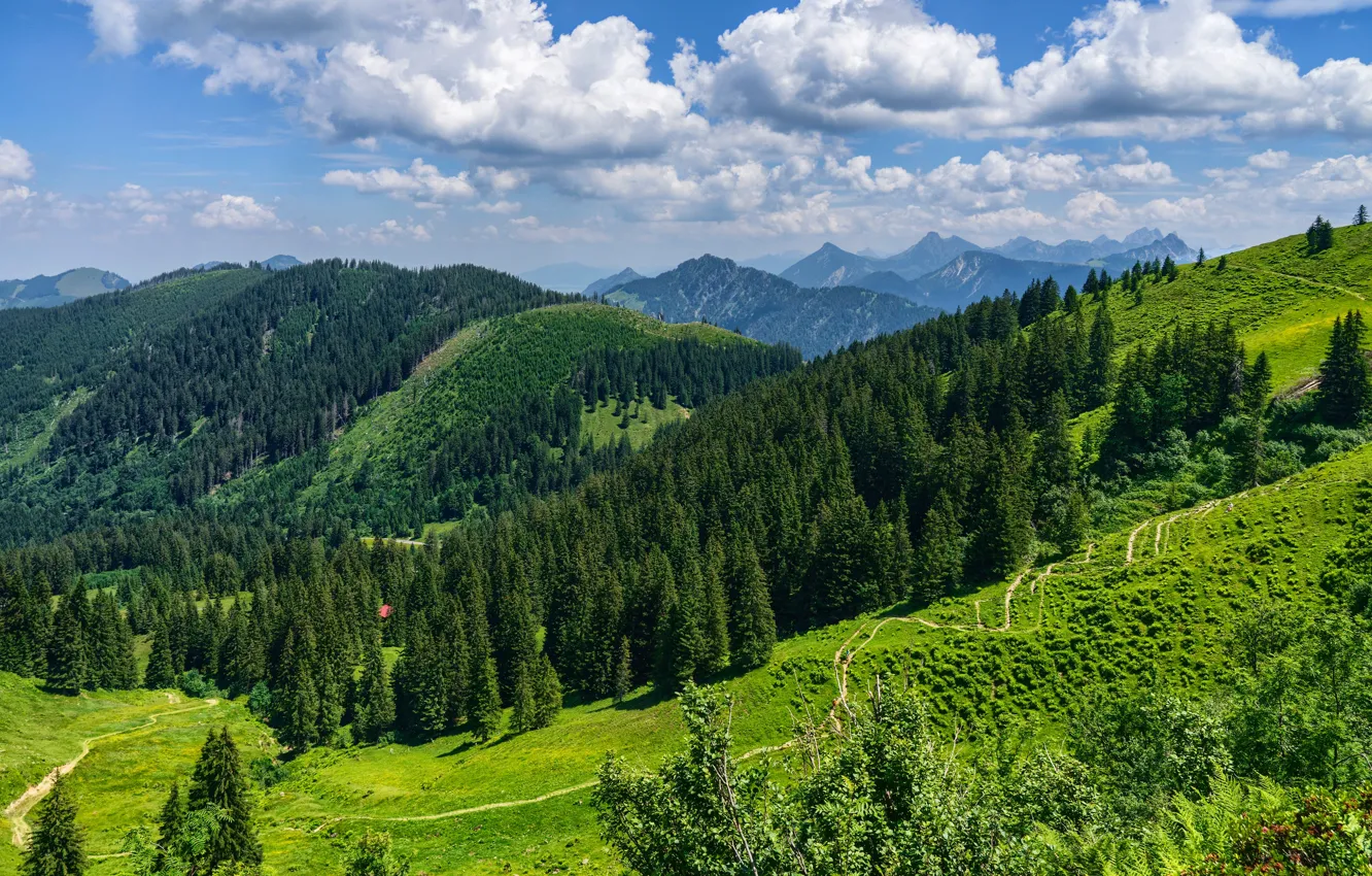 Photo wallpaper greens, forest, the sky, the sun, clouds, trees, mountains, trail