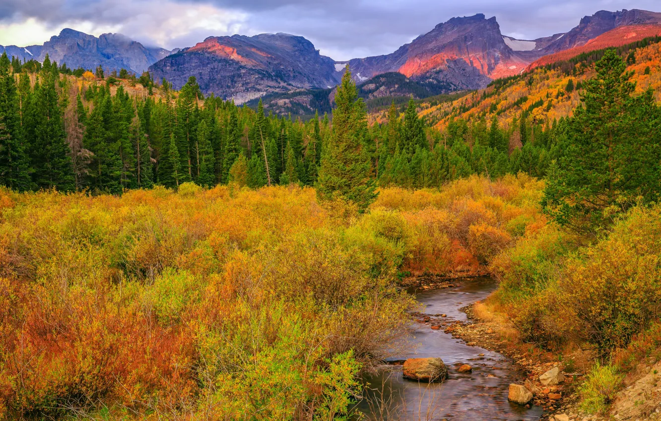 Photo wallpaper autumn, trees, mountains, nature, river, stream, Colorado, USA