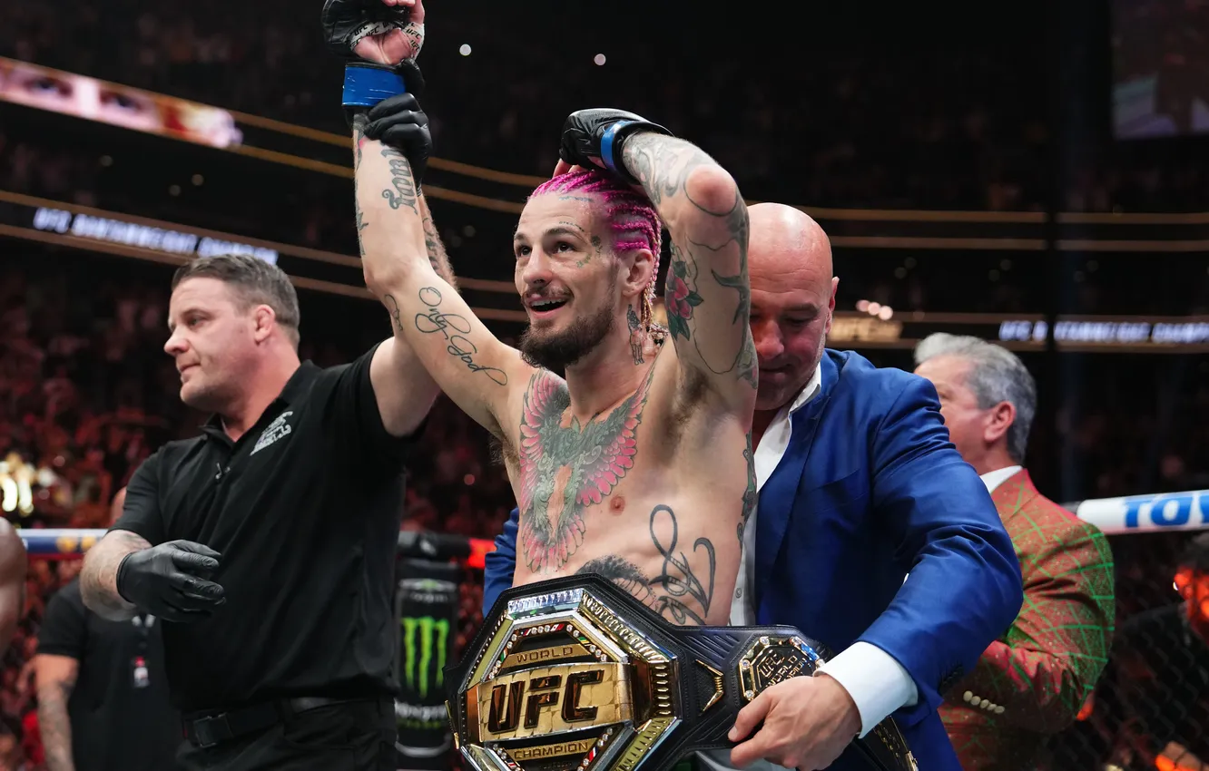Photo wallpaper fighter, ufc, championship belt, Sean O'Malley, Sean O'Malley