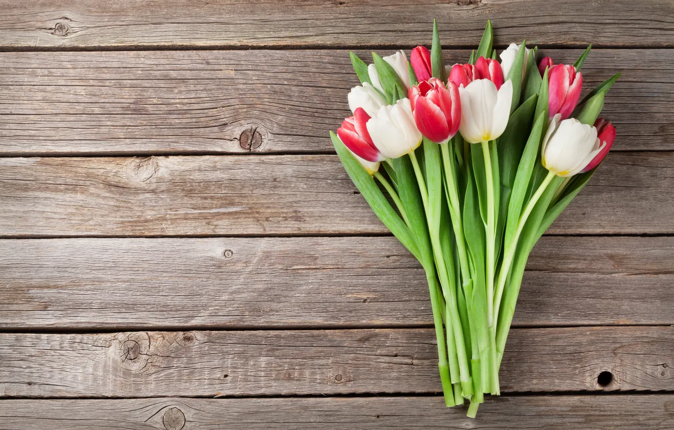 Photo wallpaper flowers, bouquet, tulips, red, white, wood, flowers, tulips