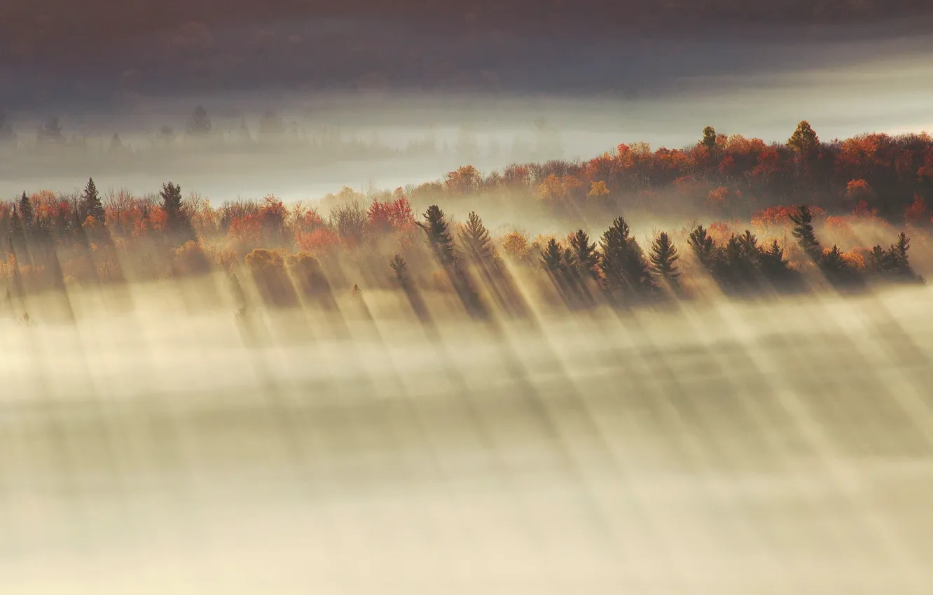 Photo wallpaper autumn, rays, light, morning, valley