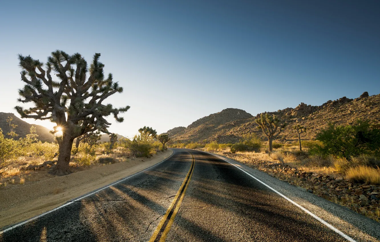 Photo wallpaper road, morning, turn