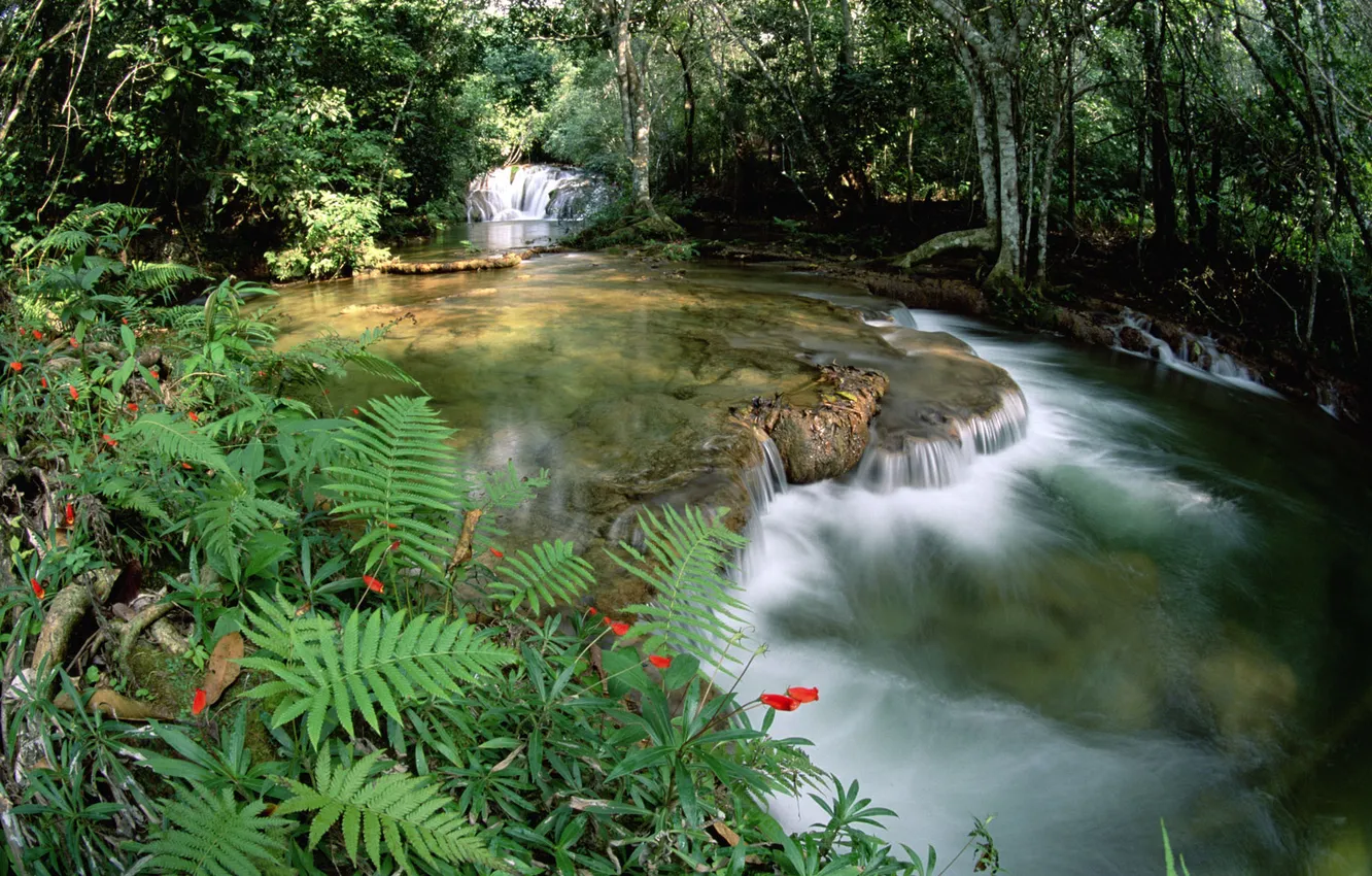 Photo wallpaper Brazil, Brasil, Serra de Bodoquena no Mato Grosso, Limestone springs and waterfalls, Source of water …