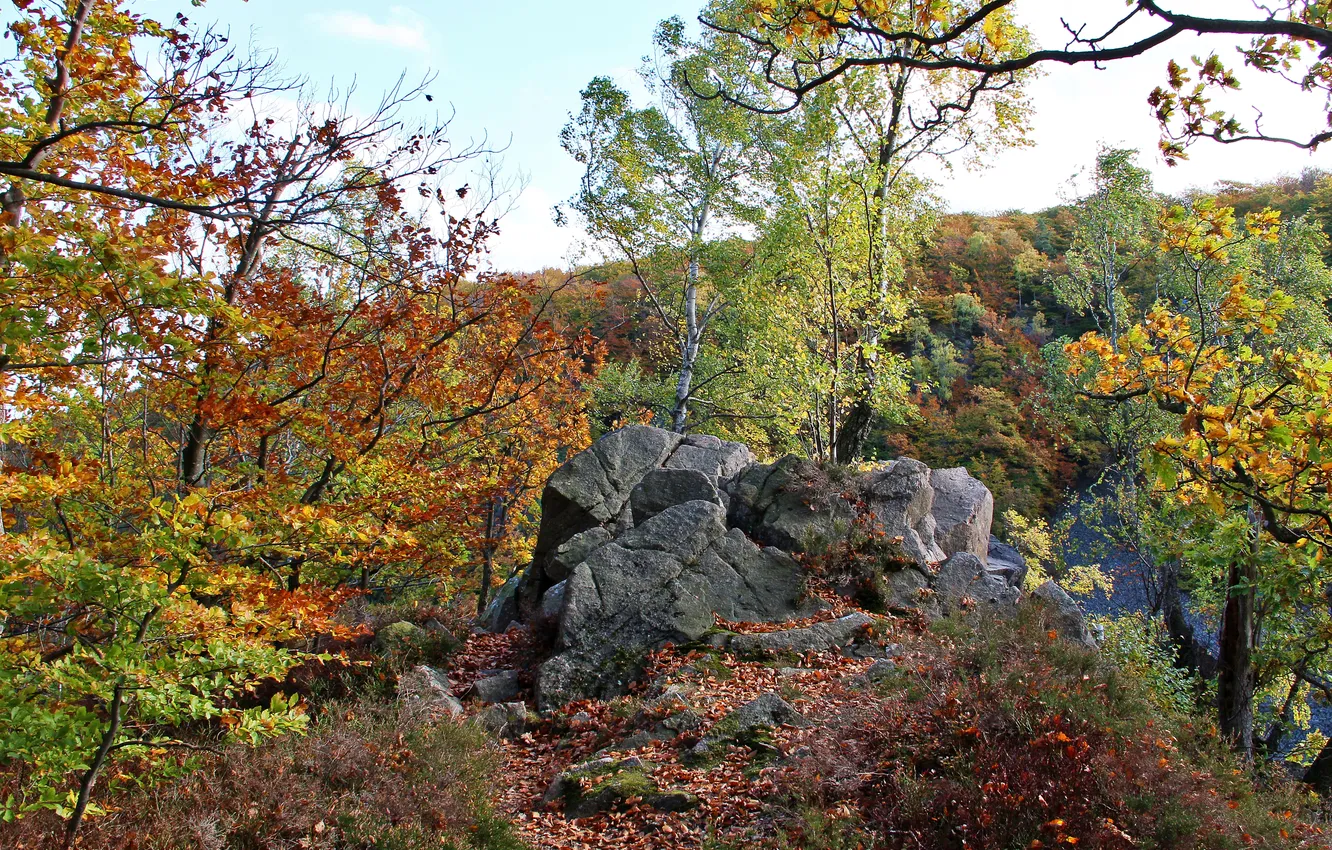 Photo wallpaper autumn, the sky, leaves, trees, landscape, mountains, stones