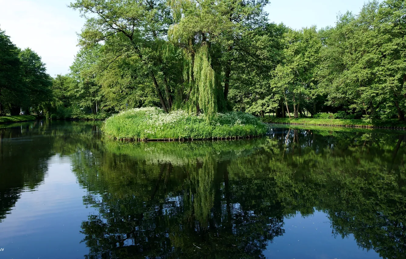 Photo wallpaper green, lake, tree