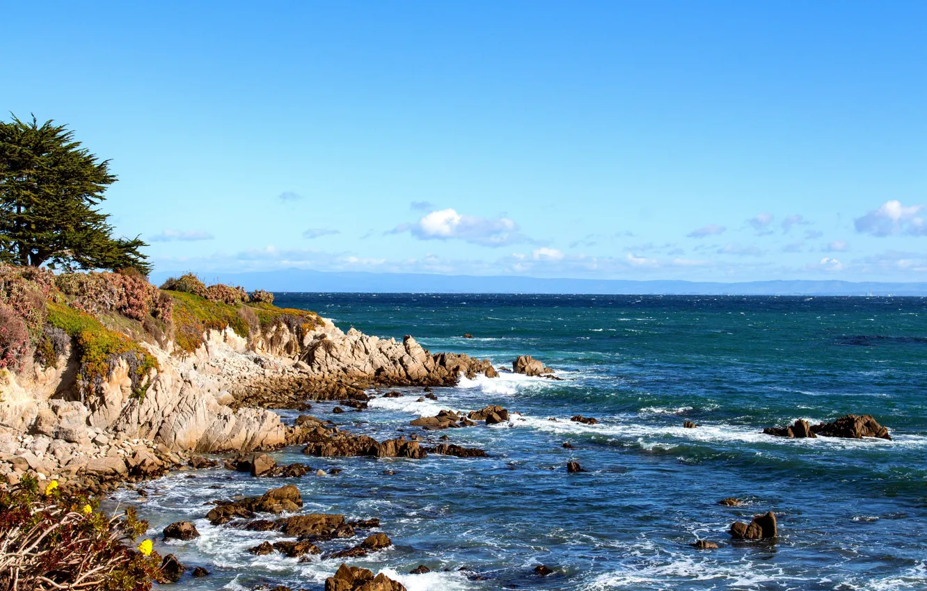 Photo wallpaper sea, the sky, coast