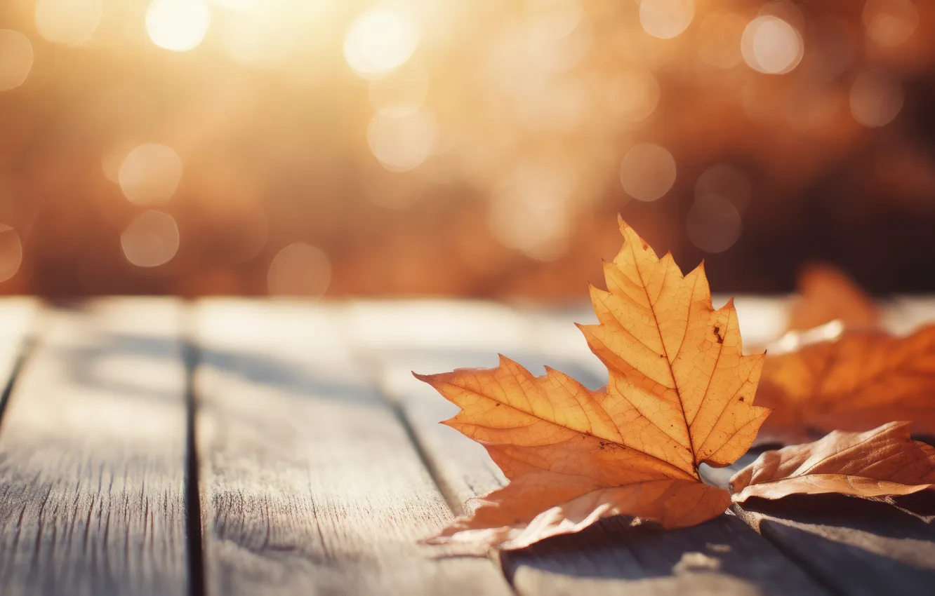 Photo wallpaper autumn, leaves, trees, background, colorful, wood, autumn, leaves