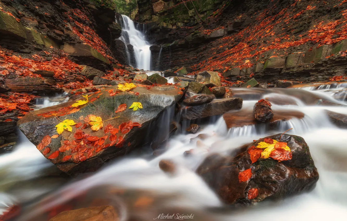Photo wallpaper autumn, leaves, nature, stones, waterfall, Sośnicki Michael