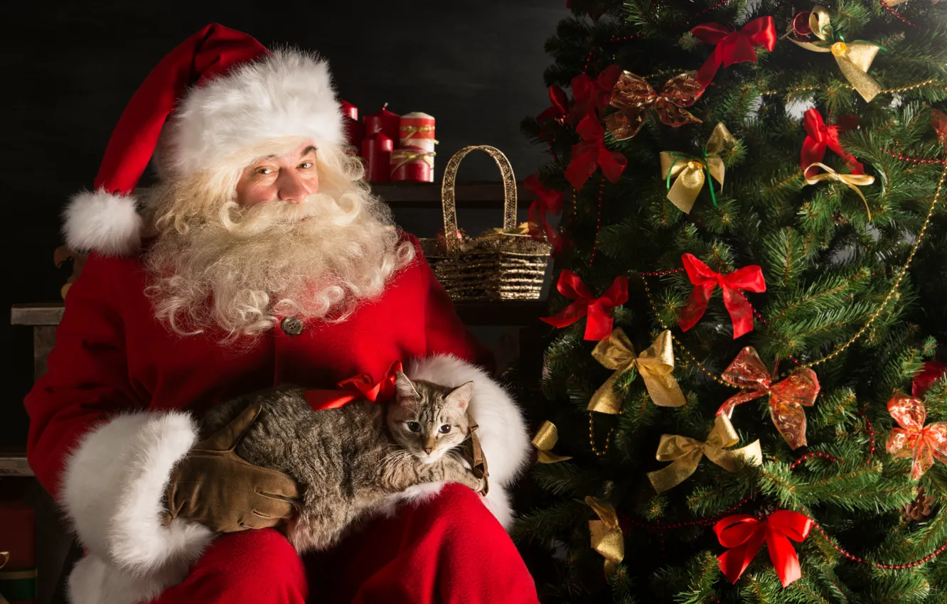 Photo wallpaper decoration, gift, tree, new year, Christmas, Santa Claus, Santa Claus, Christmas