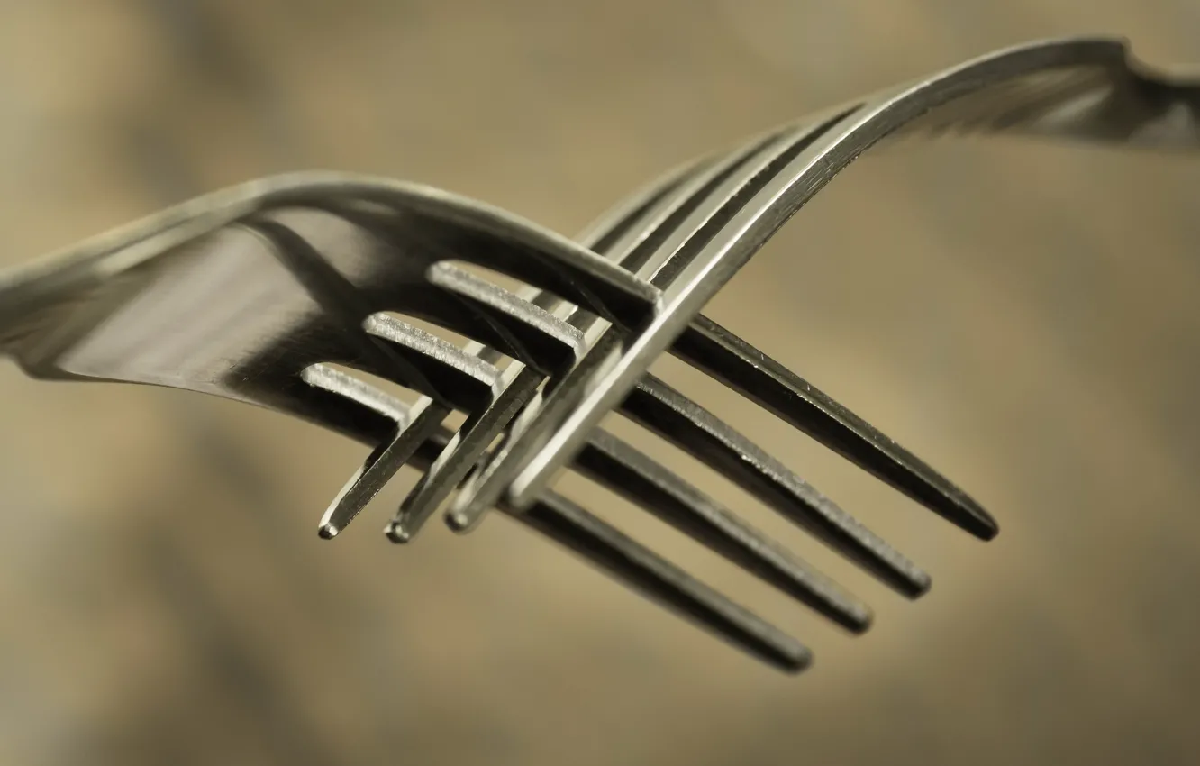 Photo wallpaper macro, background, fork