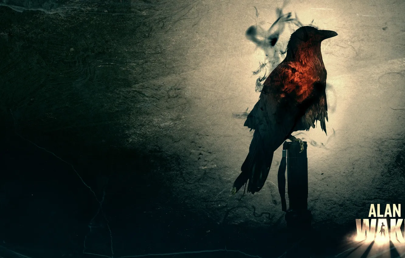Photo wallpaper bird, crow, Alan Wake