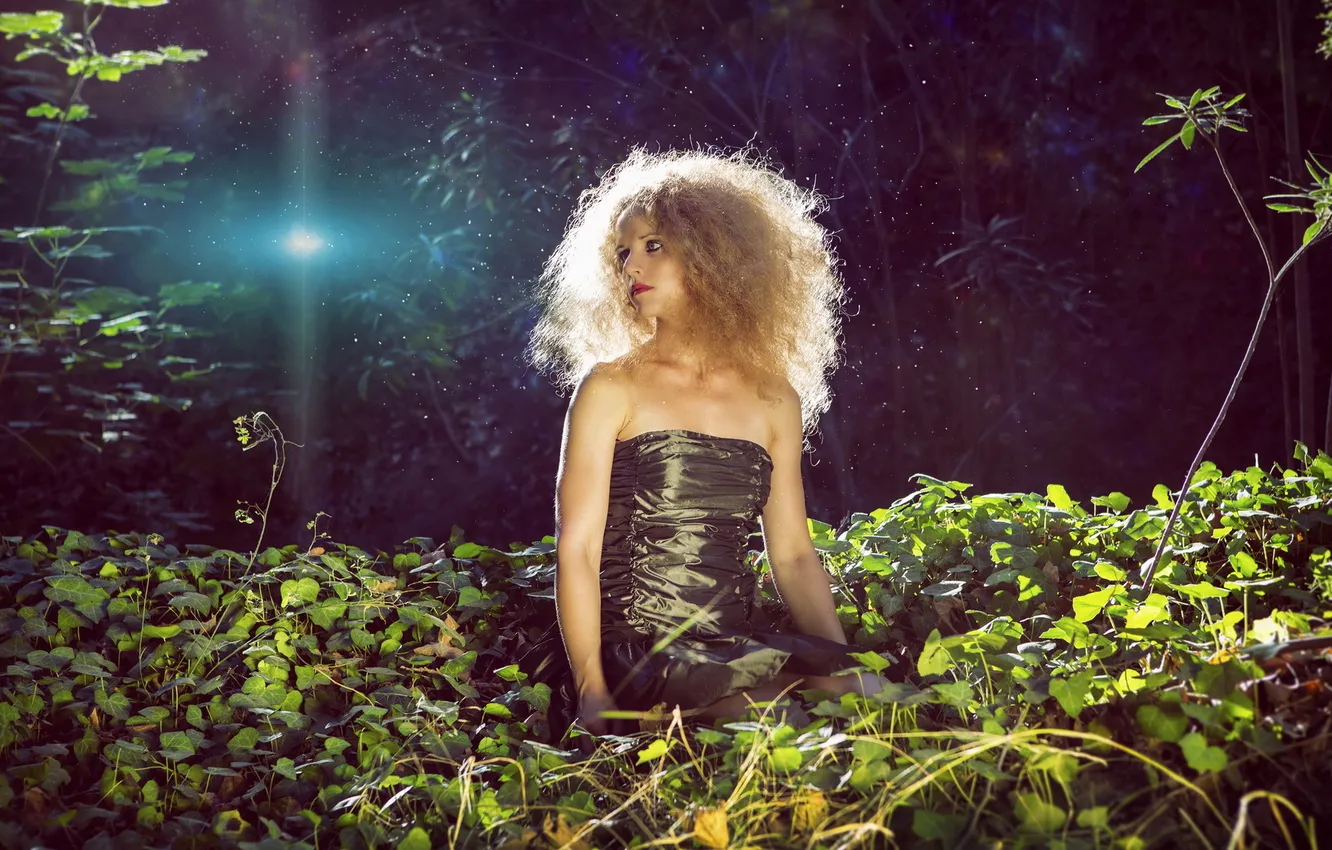 Photo wallpaper girl, night, nature