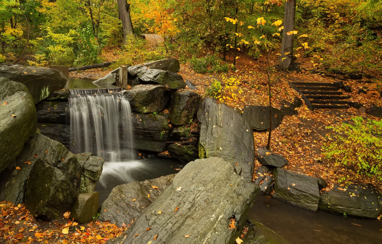 Photo wallpaper autumn, leaves, trees, Park, stream, stones, waterfall, the bushes