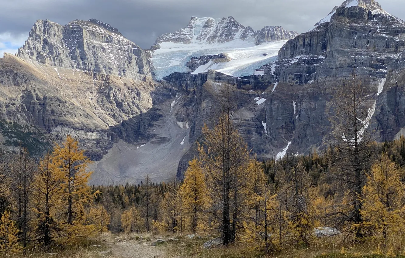 Photo wallpaper the sky, snow, trees, mountains, clouds, nature, rocks, Canada