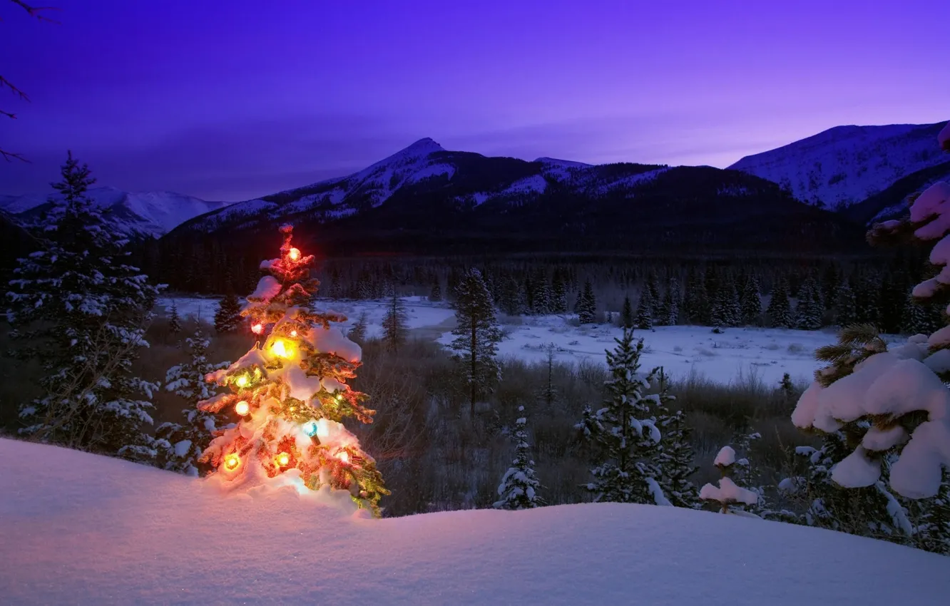 Photo wallpaper winter, snow, trees, mountains, nature, toys, tree, the evening