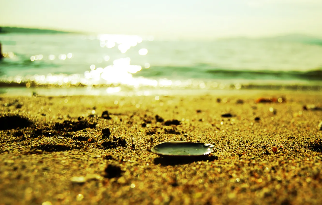 Photo wallpaper sand, sea, beach, summer, water, macro, light, Shine