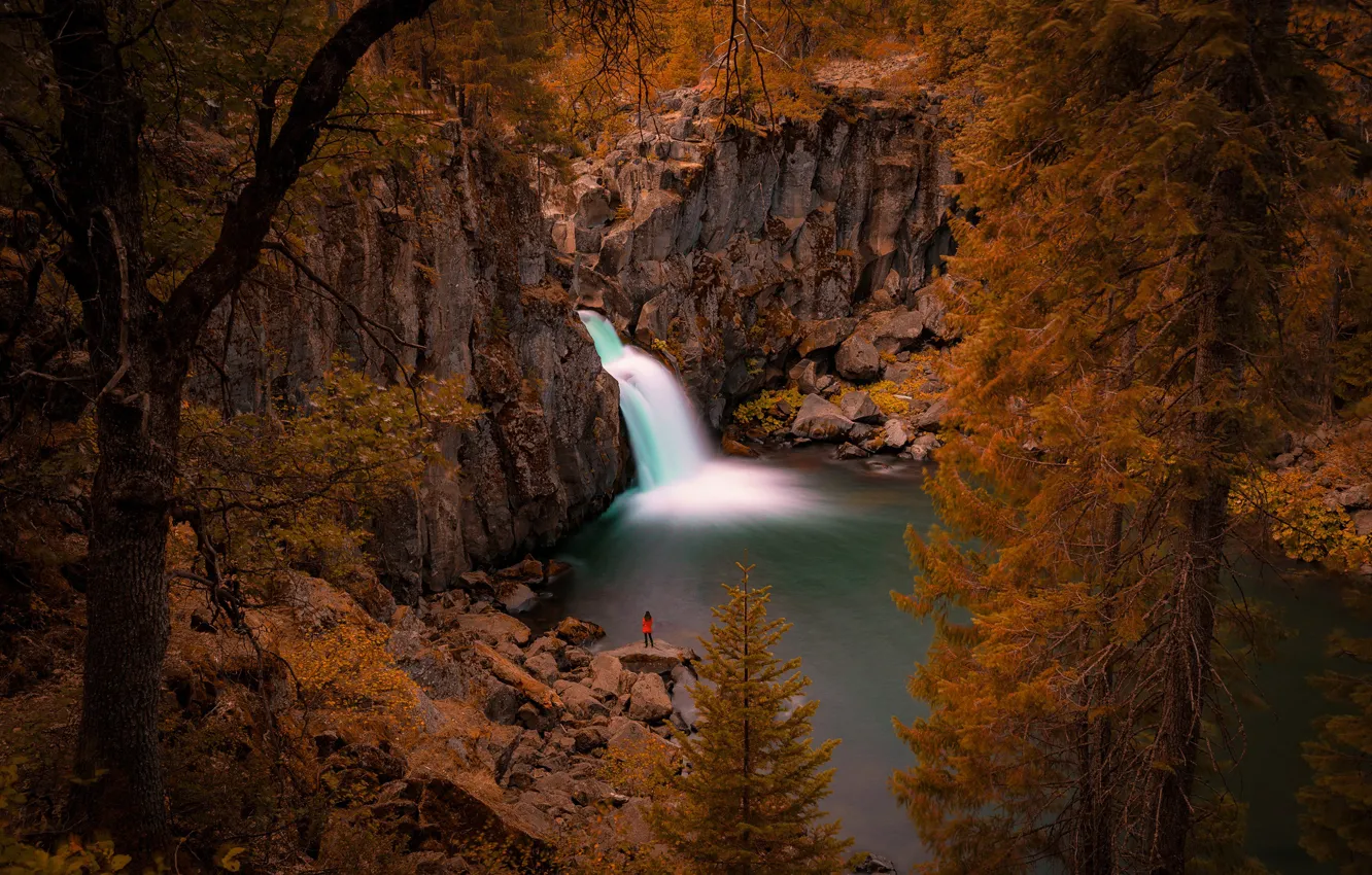 Photo wallpaper trees, river, rocks, waterfall, CA, California, Upper McCloud Falls, McCloud River