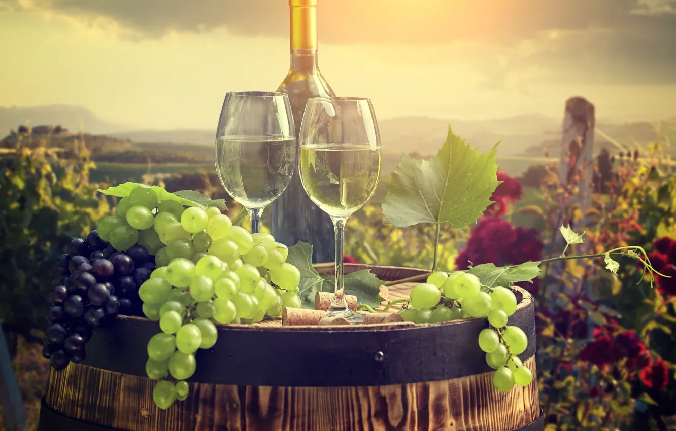Photo wallpaper wine, glasses, barrel, bunches of grapes