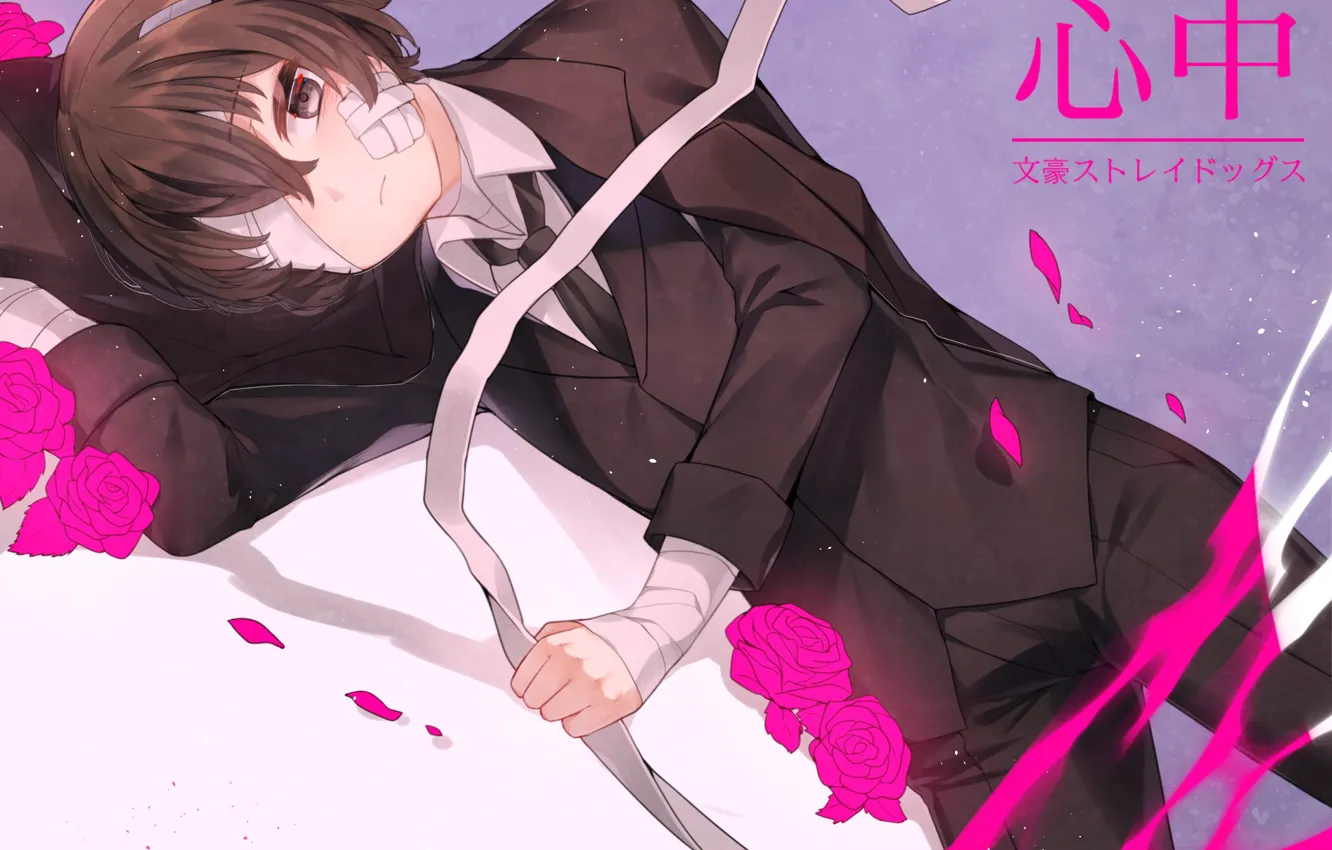 Photo wallpaper roses, boy, the patch, bandages, Bungou Stray Dogs, Stray Dogs: A Literary Genius, Dazai Osamu