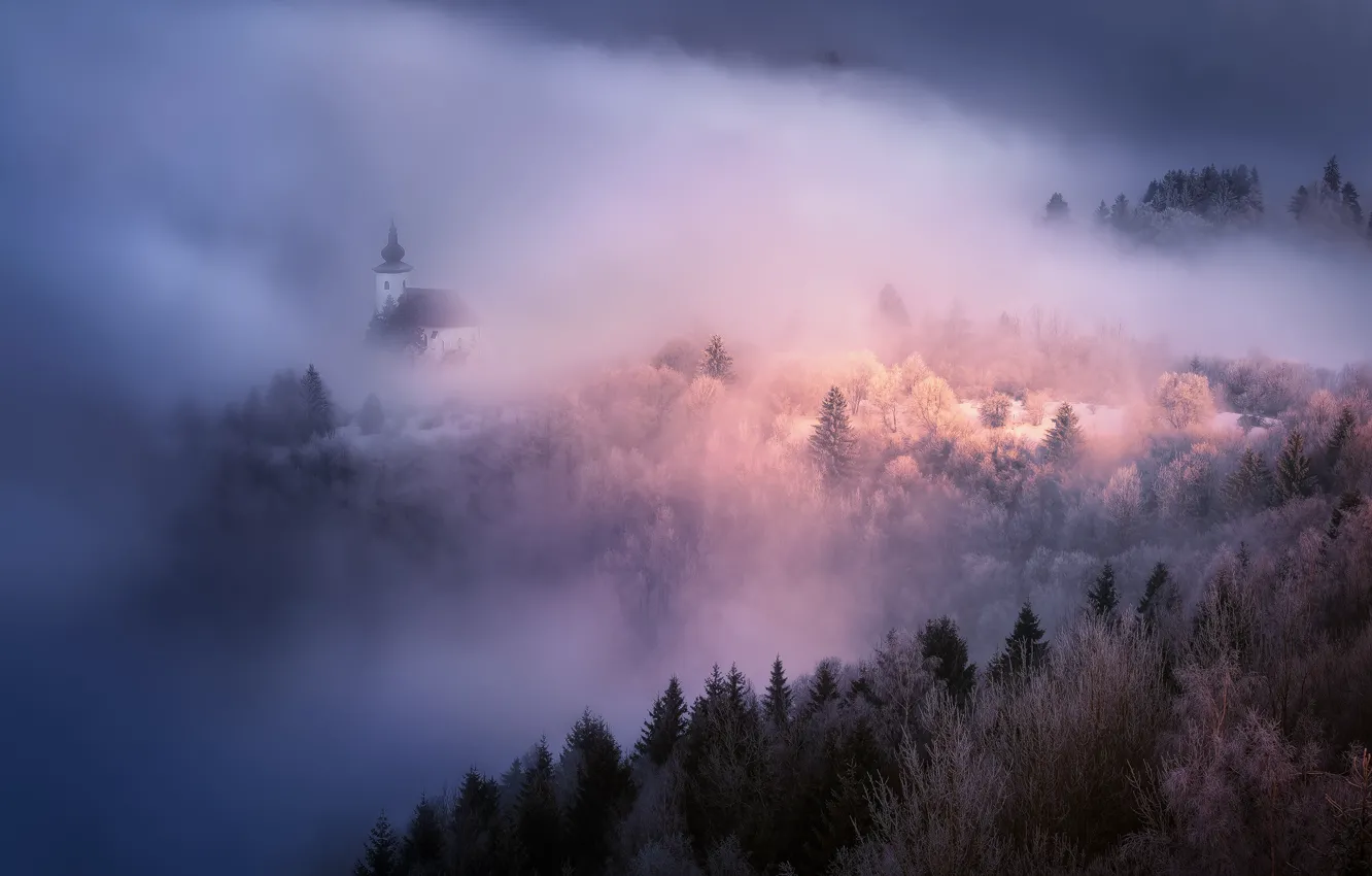 Photo wallpaper landscape, nature, fog, Church, forest