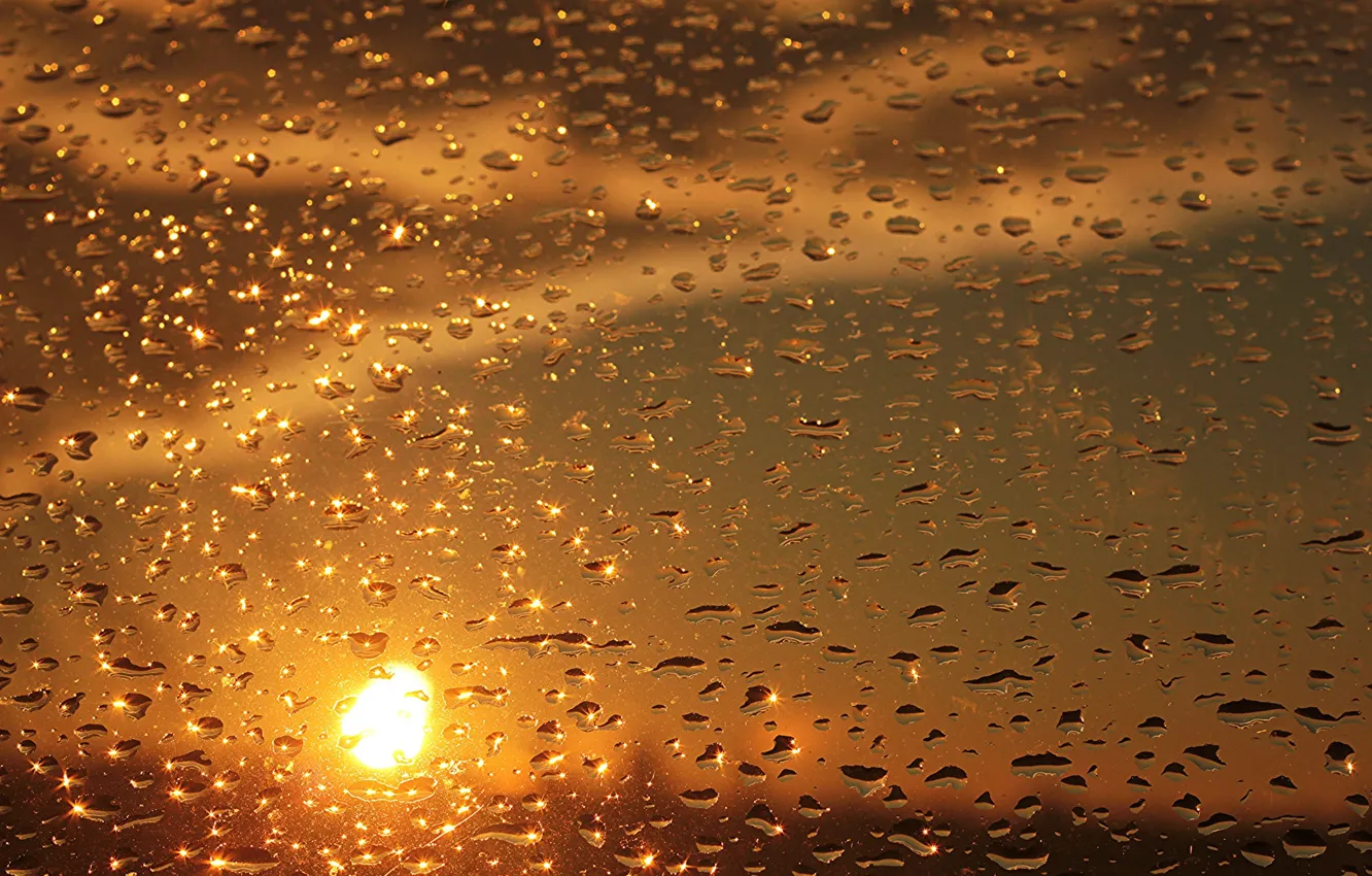 Photo wallpaper glass, drops, sunset