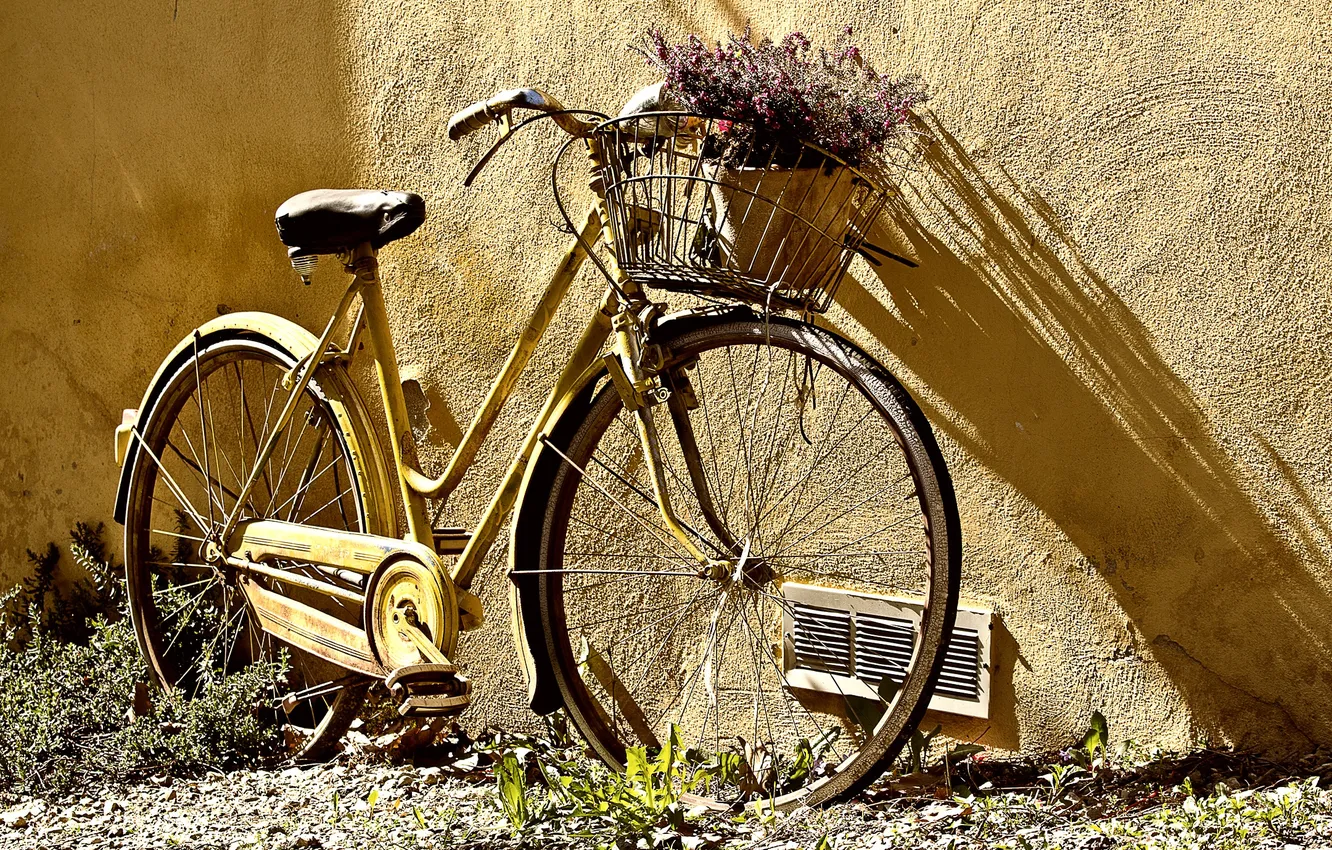 Photo wallpaper bike, wall, basket, wheel