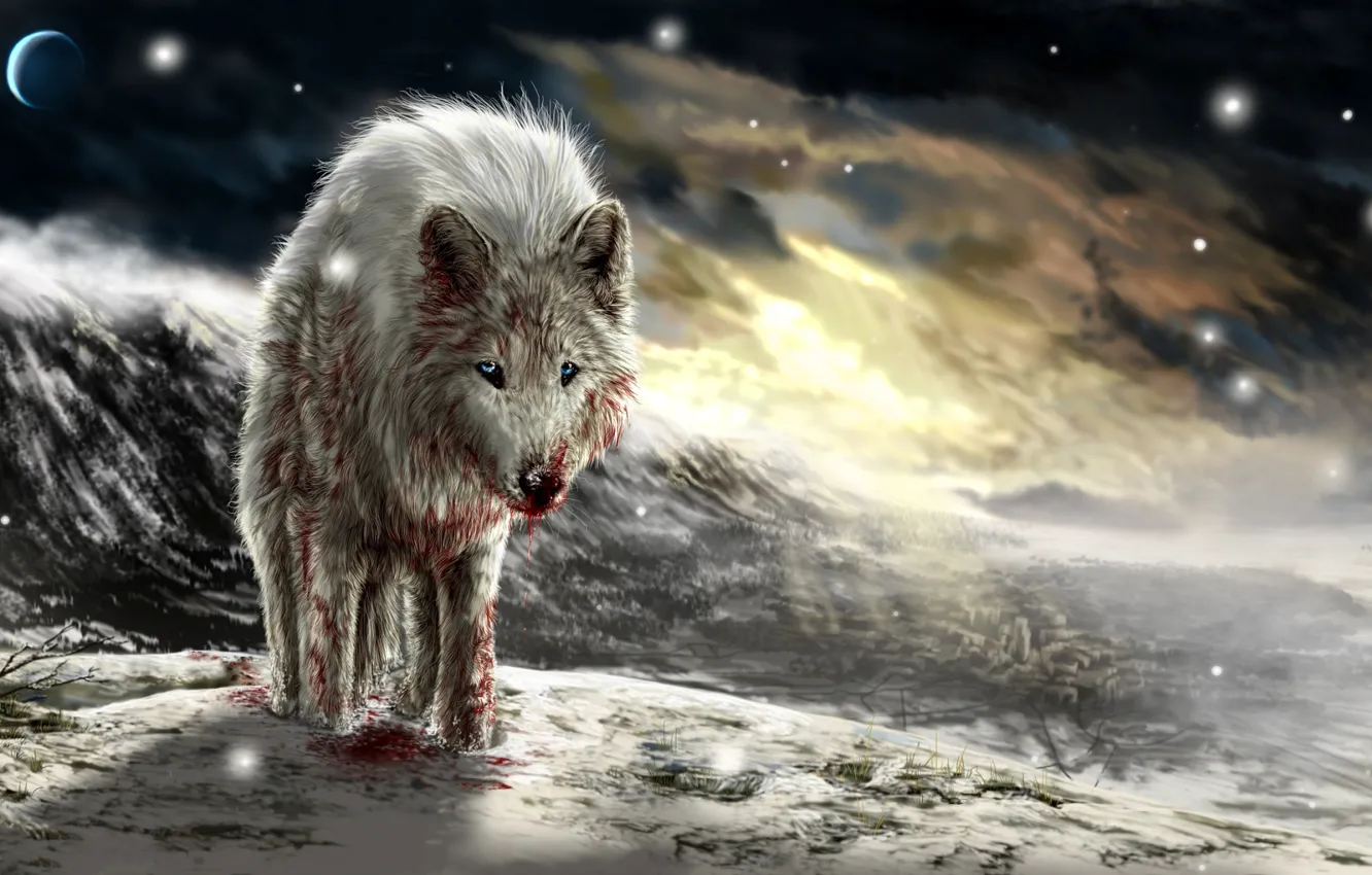 Photo wallpaper sunset, blood, wolf