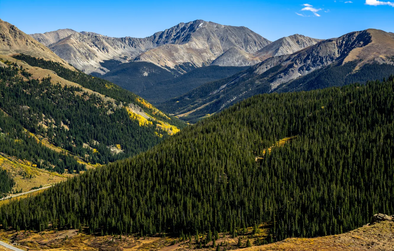Photo wallpaper Nature, Mountains, Forest, Colorado, Landscape, Aspen
