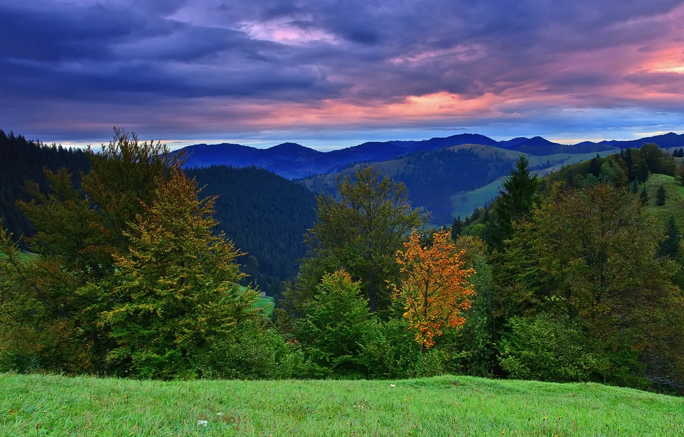 Photo wallpaper autumn, forest, landscape, sunset, nature, hills, autumn hill