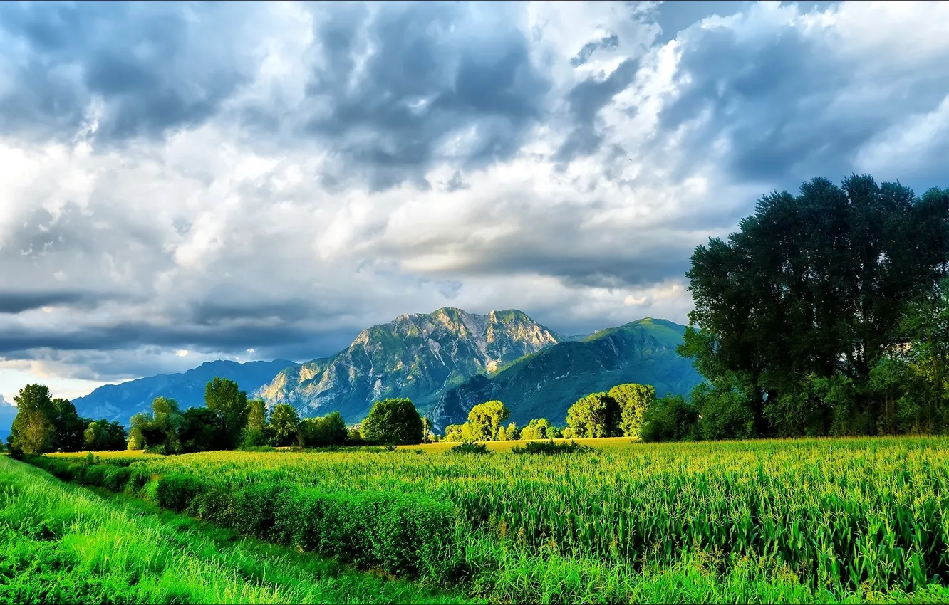 Photo wallpaper the sky, grass, trees, mountains, nature