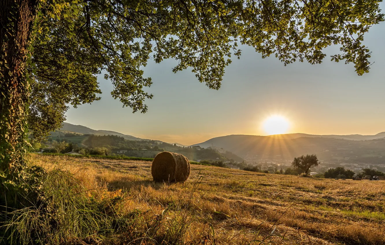 Photo wallpaper field, the sun, trees, hills, Italy, municipality of San Severino Marche, province of Macerata