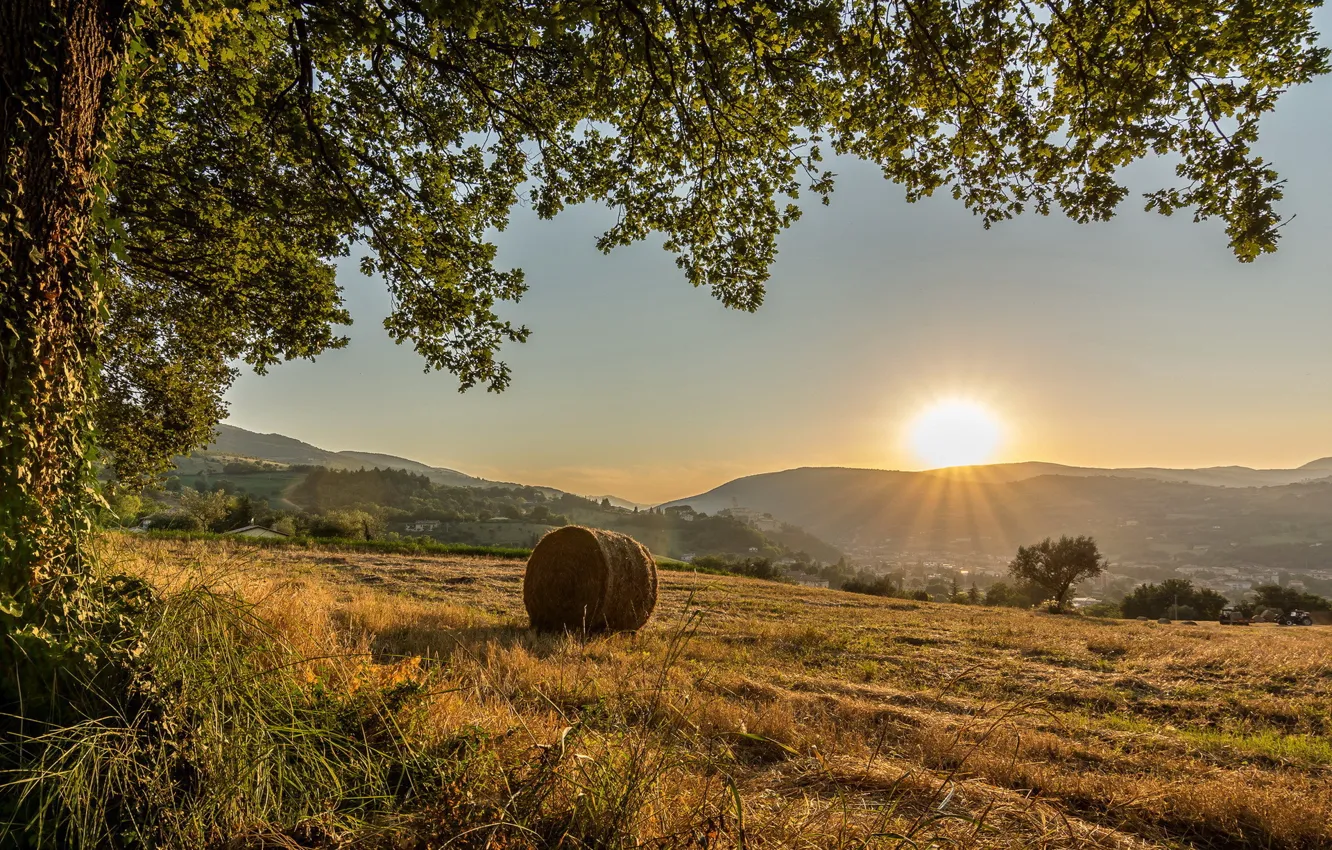 Photo wallpaper field, the sun, tree, hills, Italy, municipality of San Severino Marche, province of Macerata
