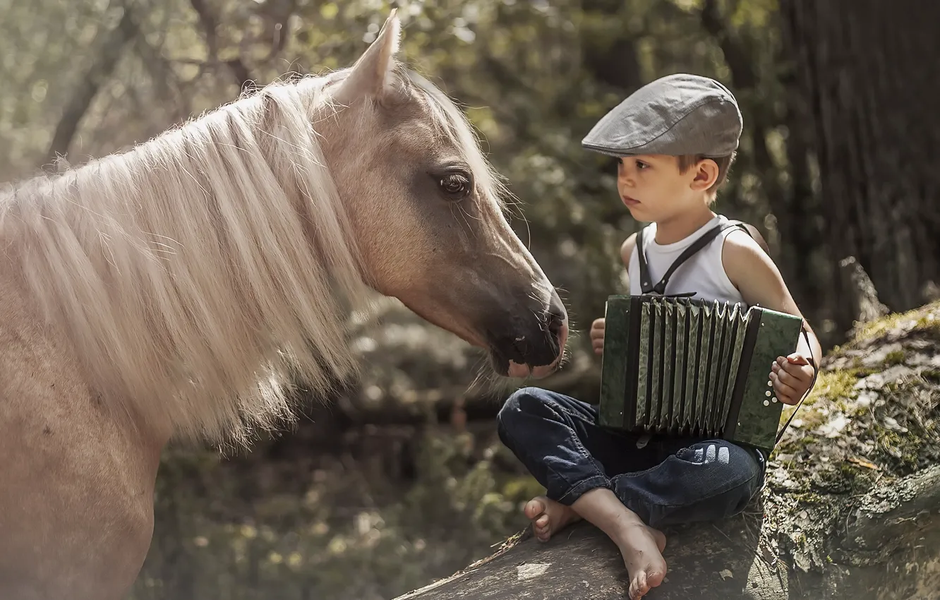 Photo wallpaper horse, boy, accordion