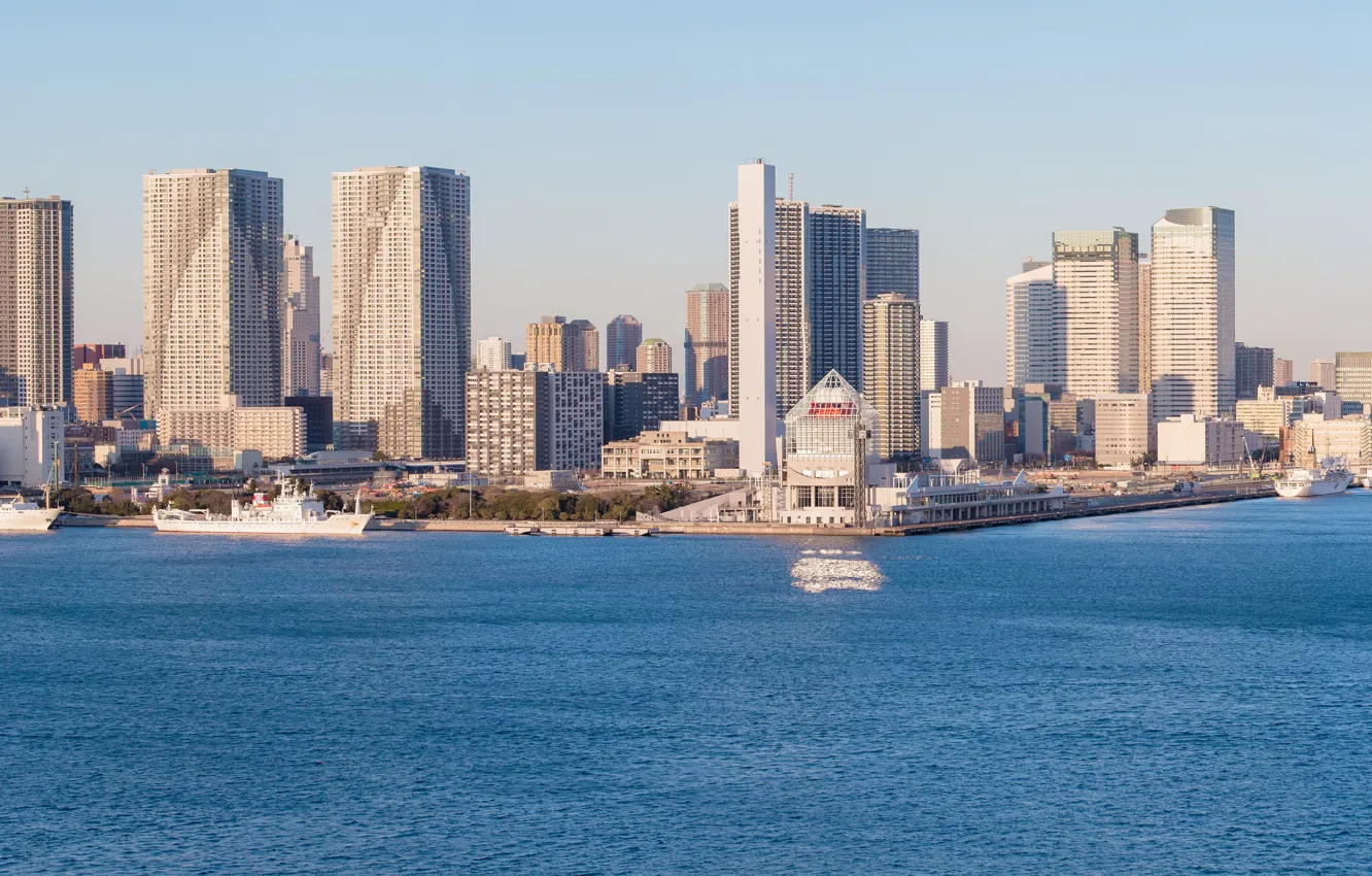 Photo wallpaper bridge, the city, home, skyscrapers, Japan, Tokyo, panorama, Bay