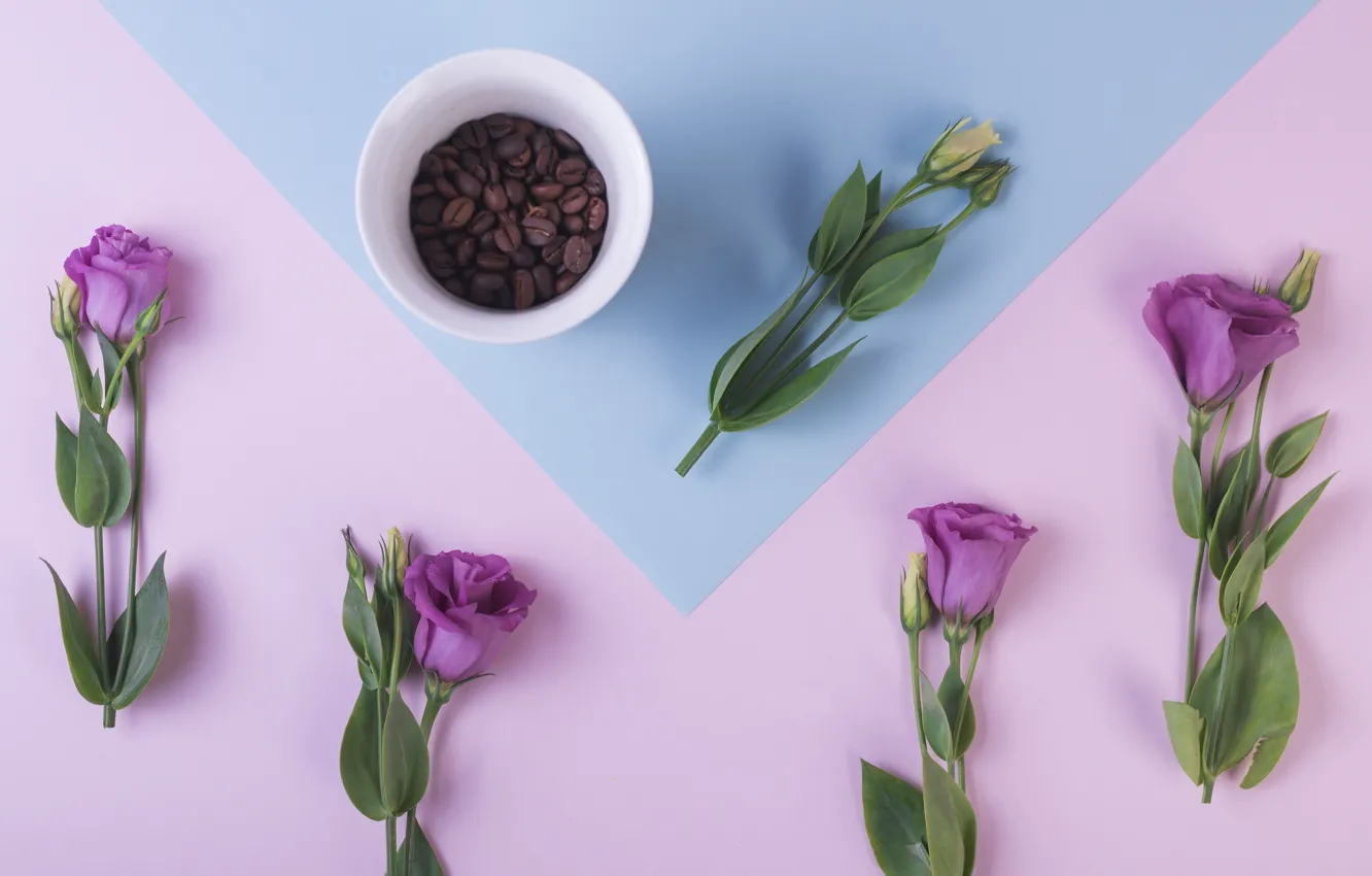 Photo wallpaper purple, flowers, background, coffee, grain, Cup, flowers, cup