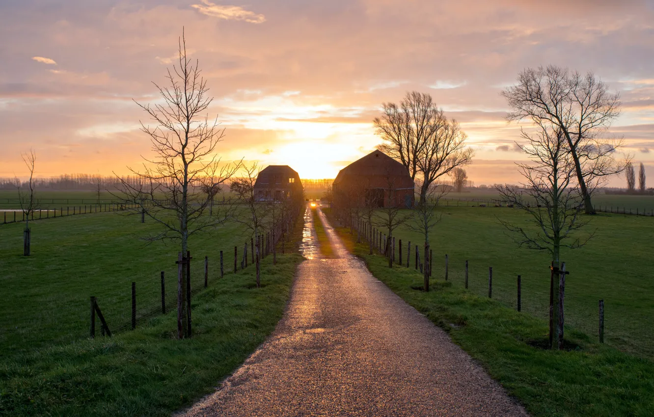 Photo wallpaper road, morning, farm