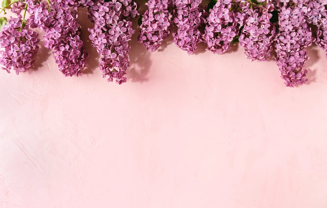Photo wallpaper flowers, background, spring, lilac